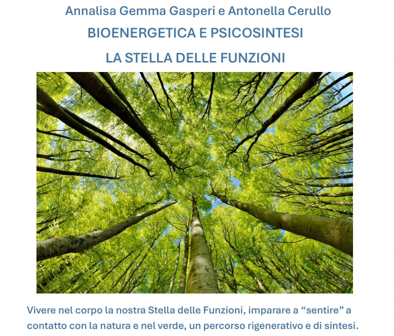 BIO-ENERGETICA E PSICOSINTESI.  LA STELLA DELLE FUNZIONI