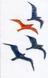2011 Logo