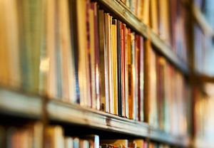 biblioteca pexels engin akyurt 2952871
