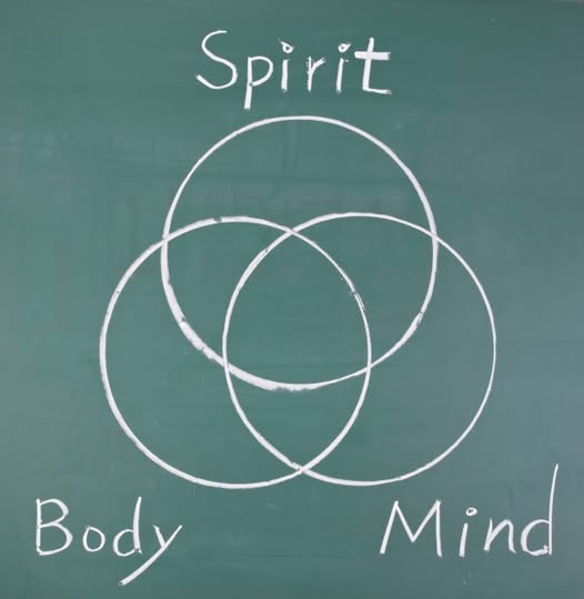 LA SAGGEZZA DEL CORPO