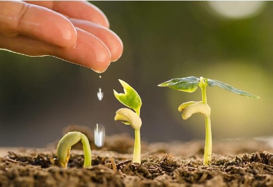 Discernimento del Servizio 