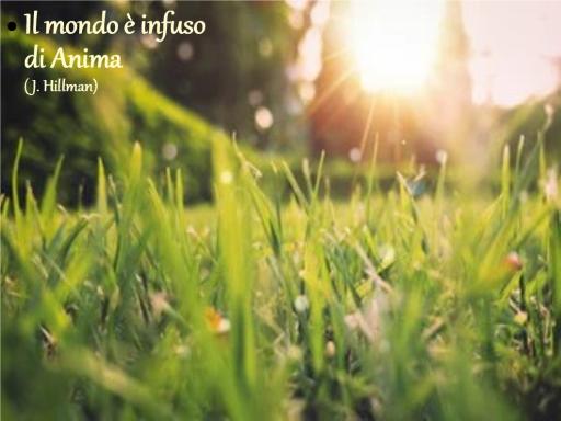 Anima